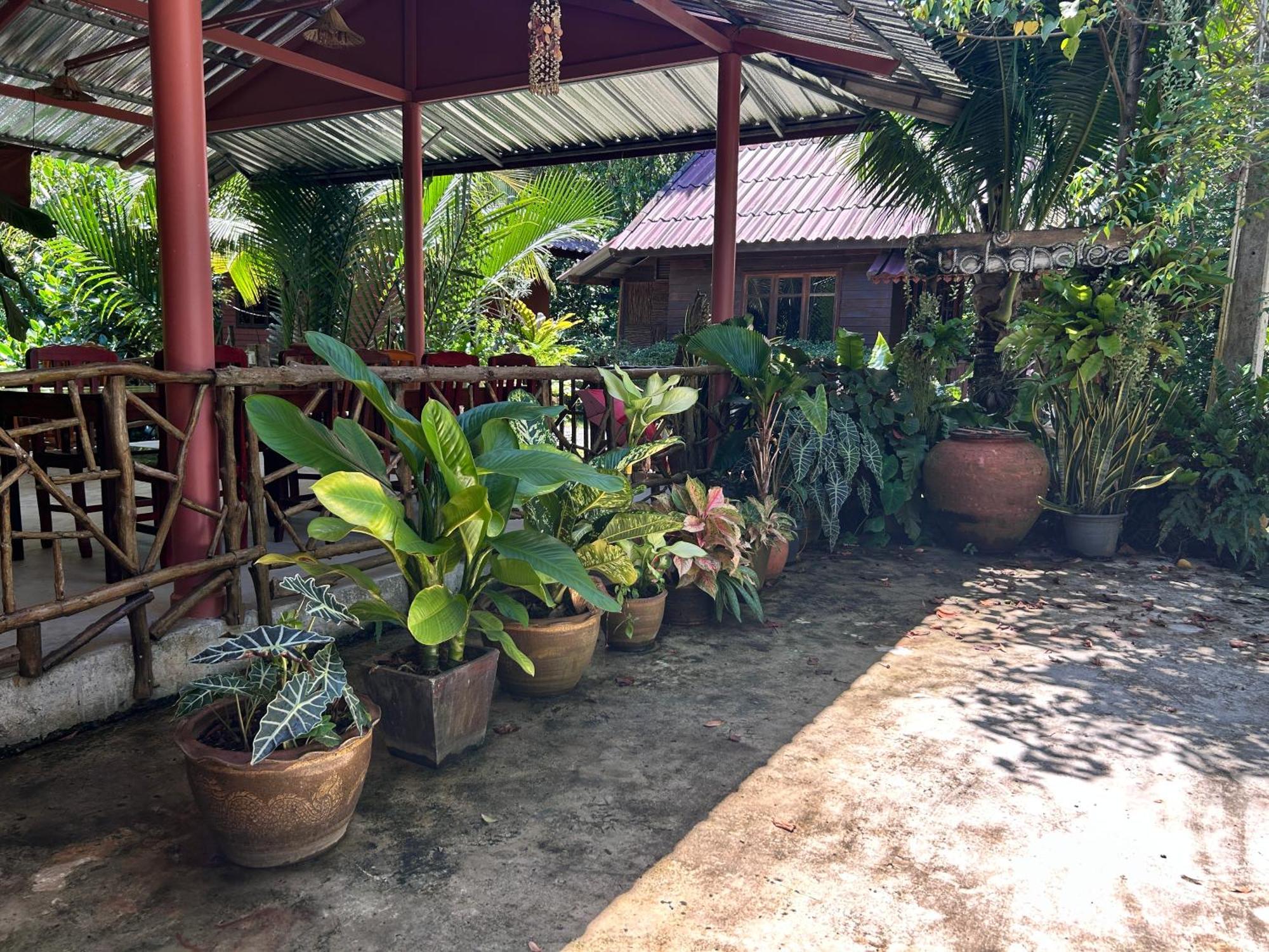 Suchanaree@Laemngop Trat Bagian luar foto